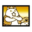 Doll Cats
