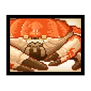 Tasmanian Giant Crab