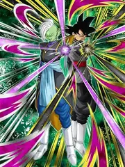 Goku Black & Zamasu