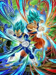 Super Saiyan God SS Goku &
Super Saiyan God SS Vegeta