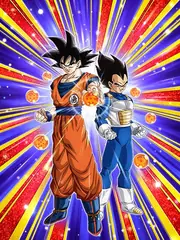 Goku & Vegeta