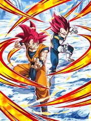 Super Saiyan God Goku & Super Saiyan God Vegeta