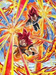 Super Saiyan God Goku &
Super Saiyan God Vegeta