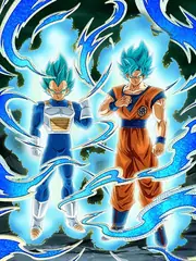 Super Saiyan God SS Goku &
Super Saiyan God SS Vegeta