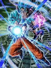 Super Saiyan God SS Goku + Super Saiyan God SS Vegeta