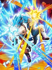 Super Saiyan God SS Goku &
Super Saiyan God SS Vegeta