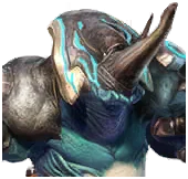 Kuite