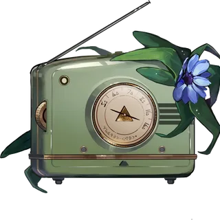 Ms. Radio